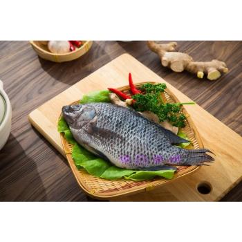 樂鱻嚴選-生鮮台灣鯛 400g/尾+-10% (12入裝 )