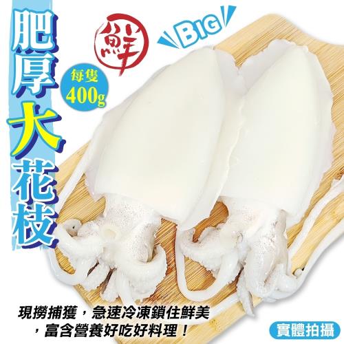 海肉管家-特級鮮Q甜肥厚大花枝(6隻/每隻約400g±10%)