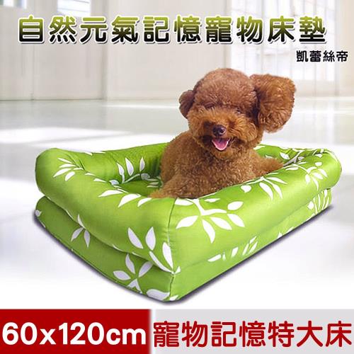 凱蕾絲帝-太空記憶寵物時尚床墊-特大型犬專用(60*120cm)-自然元氣