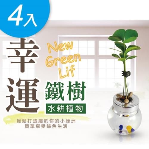 懶人救星療癒水耕植栽招財樹 四入組 瓷器 花瓶 花盆 Etmall東森購物