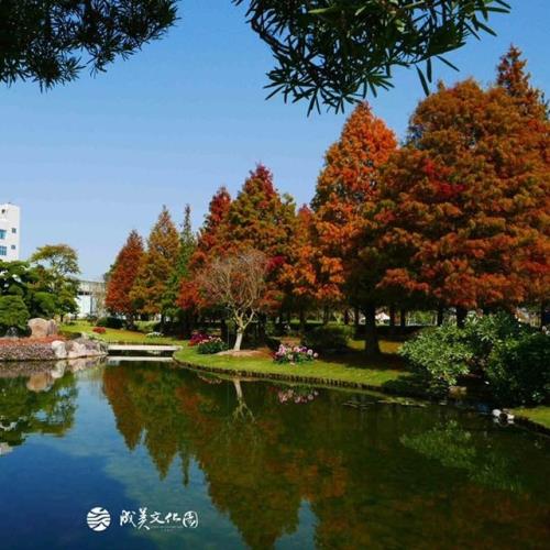 【團體巴士環島】彰化成美文化園.夜遊港都愛之船.屏東梅花鹿園.花東美境伯朗大道.太魯閣4日(四人一室)單人劵
