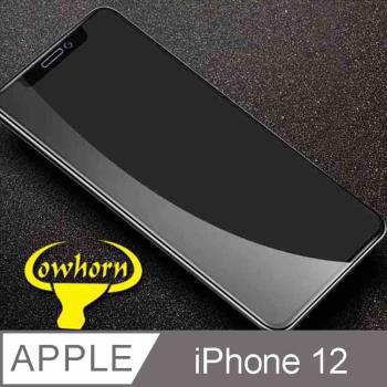 iPhone 12 2.5D曲面滿版 9H防爆鋼化玻璃保護貼 黑色