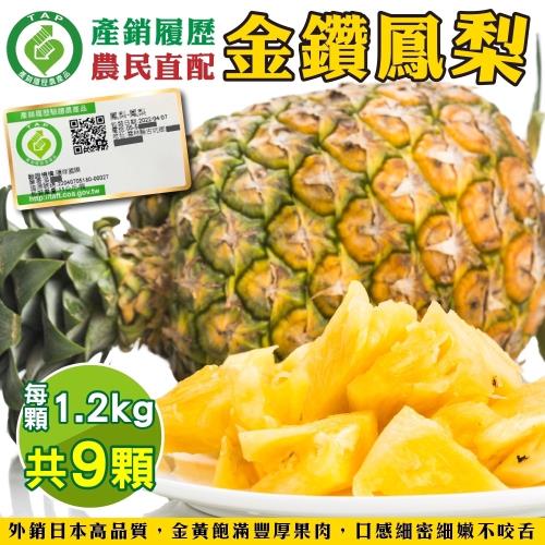 果農直配-產銷履歷金鑽鳳梨9顆(約1.2kg/顆)