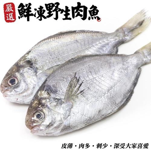 海肉管家 新鮮野生肉魚 肉鯽仔24尾 每尾約100g 10 肉魚 吻仔魚 Etmall東森購物網