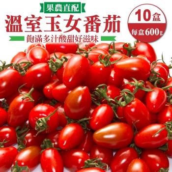 果農直配-嚴選溫室玉女小番茄10盒(約600g/盒)