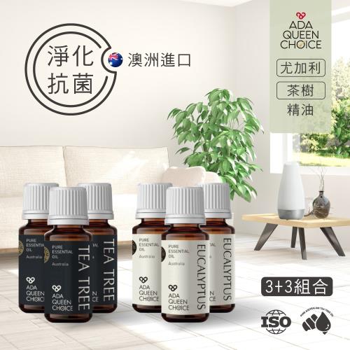 【ADA QUEEN CHOICE】茶樹+尤加利 100%頂級純精油組合 (10ml)*3組加贈水氧機