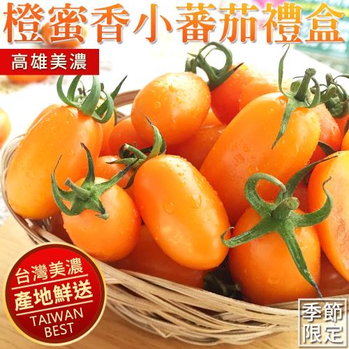 預購【高雄美濃】產銷履歷橙蜜香小番茄5斤x6盒