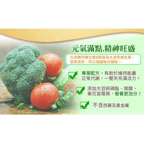 2入特價 愛司盟緩釋型維他命b群加強錠60錠 維他命b群 Etmall東森購物網