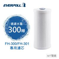 【EVERPOLL】全戶濾淨雙效濾芯 FH-030 (FH-301 專用濾芯)