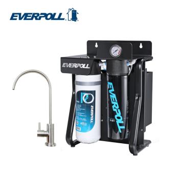 【EVERPOLL】直出式極淨純水裝置 (RO-900)
