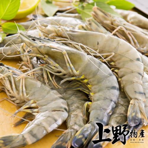 【上野物產】急凍特選鮮甜海虎蝦（1000g±10%/約16隻/盒）x1盒