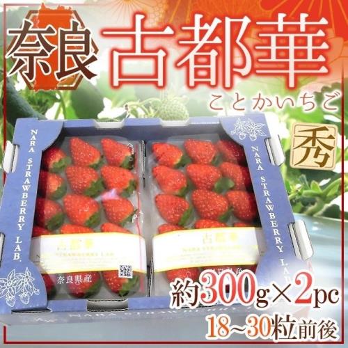 果物樂園-日本奈良古都華草莓(2P_約600g/盒)