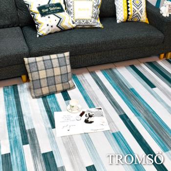 【TROMSO】珊瑚絨短毛地毯 特大尺寸230x160cm Q都會風采