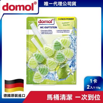 德國domol 懸掛式馬桶芳香清潔55gx2入 5組-青檸