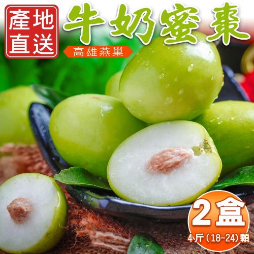 買一送一【高雄燕巢】頂級牛奶蜜棗禮盒18-24顆/盒(共2盒)