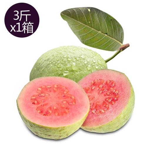 【果之家】特選高雄燕巢脆甜爽口紅心芭樂3台斤(約5-9顆)