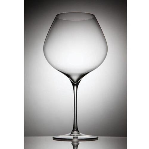 【Rona樂娜】Lynx系列-柏根第杯-860ml(2入) RNLR62025-860