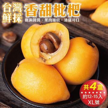 果物樂園-台灣嚴選枇杷XL號4盒(12-15入_約500g/盒)