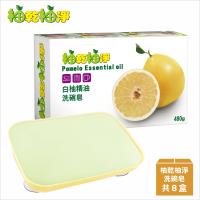 【 】 製-柚乾柚淨白柚精油洗碗皂480g*8入