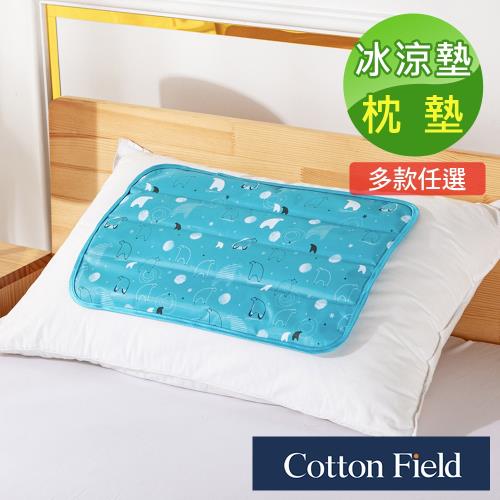 棉花田冰雪天地極致酷涼冷凝枕墊萬用墊(30x45cm)