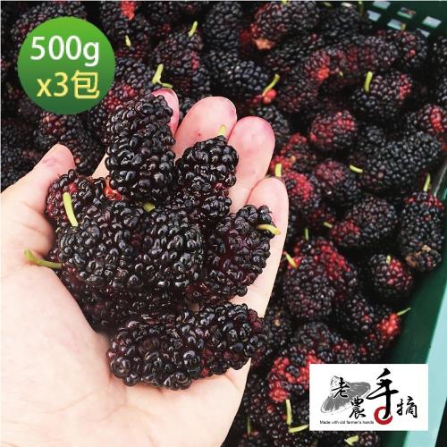 老農手摘 天然野生桑葚果-產地直銷(500公克3包)