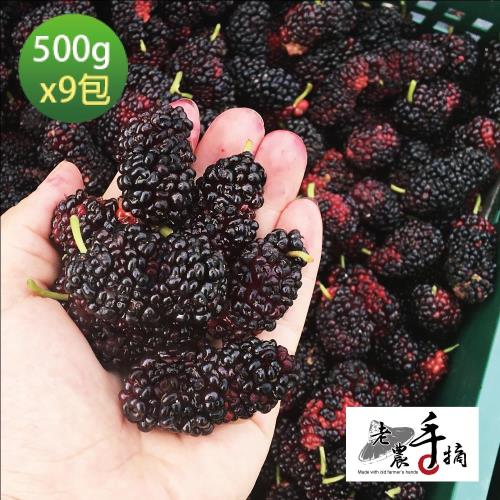 老農手摘 天然野生桑葚果-產地直銷(500gx9包)