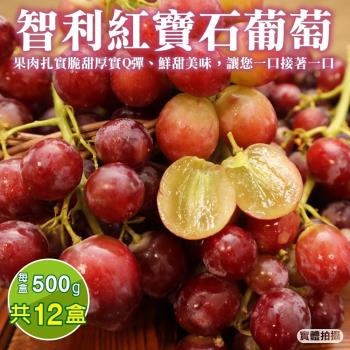 果物樂園-智利紅寶石葡萄12盒(約500g/盒)