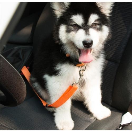 寵物車載安全帶-狗狗專用安全帶 車內拴狗 帶鎖扣防脫