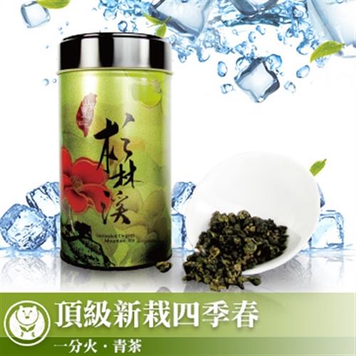 【台灣茶人品牌下殺】頂級杉林溪風味新栽四季春(150g/罐)★限時搶購