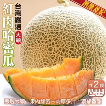 果農直配-臺灣嚴選大顆紅肉哈密瓜2顆(約1200g/顆)