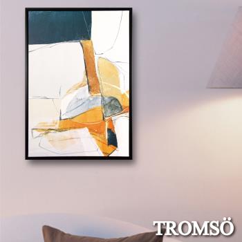 TROMSO北歐時代風尚有框畫-微醺風光WA170