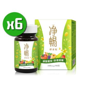 【大漢酵素】淨暢酵素錠x6瓶(90粒/瓶)+隨機贈送隨身保健包x3
