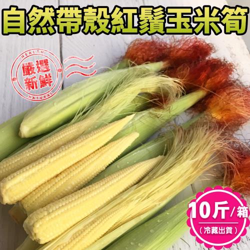 【禾鴻】新鮮自然帶殼紅鬚玉米筍,共10斤