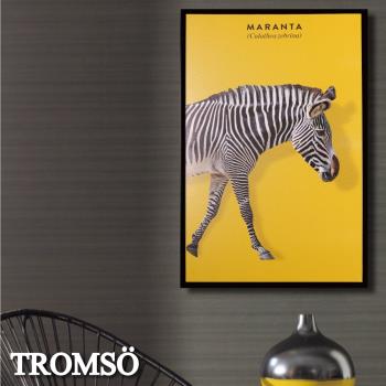 TROMSO北歐時代風尚有框畫-摩登斑馬WA180