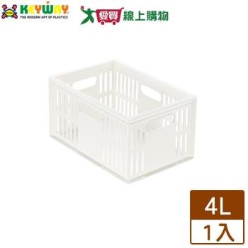 KEYWAY聯府 總理萬用籃 DT17 臺灣製 可堆疊 雙邊提把 收納 置物 整理【愛買】