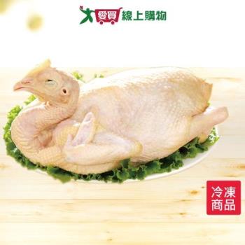 大成鹿野土雞1.6~2.0kg/隻(全雞)【愛買冷凍】
