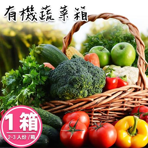 【禾鴻x麻豆柚果合作社】新鮮現採有機蔬果箱2-3人份x1箱