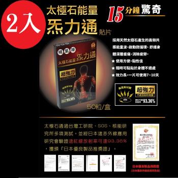 太極石-能量炁力通貼片 2入組 共100枚 50枚/盒 (痠痛、貼布、貼片、痠痛貼)