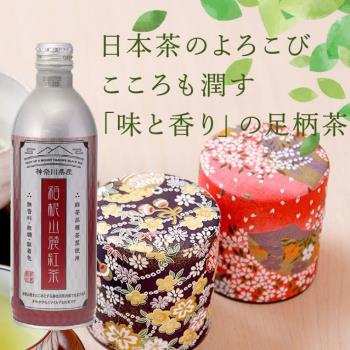 箱根山麓紅茶鋁罐 490mlx24瓶
