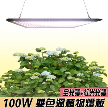君沛 燈板系列 100瓦 吊掛式 植物燈 雙色溫 植物成長專用燈 植物生長燈