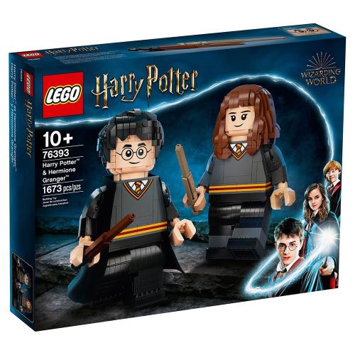 LEGO樂高積木 76393 202106 Harry Potter 哈利波特系列 - 哈利與妙麗