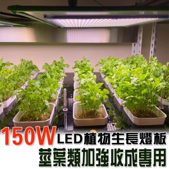 君沛 燈板系列 150瓦 吊掛式 植物燈 莖葉加強型 植物成長專用燈 植物生長燈