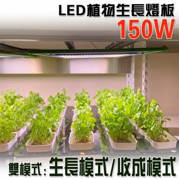 君沛 燈板系列 150瓦 吊掛式 植物燈 雙色光譜 植物成長專用燈 植物生長燈