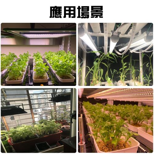 君沛燈板系列150瓦吊掛式植物燈全光譜植物成長專用燈植物生長燈 植物燈 Etmall東森購物網