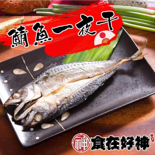 【食在好神】挪威開背鯖魚一夜干(大)175克 共16尾