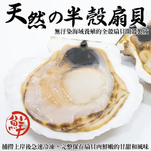 海肉管家-生鮮半殼扇貝1包(每包500g±10%)