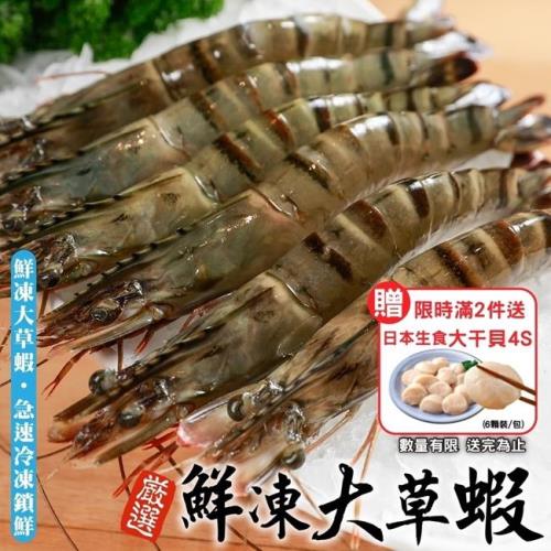 海肉管家-鮮凍大草蝦5盒(10尾/約250g/盒)【第2件送生食4S干貝】