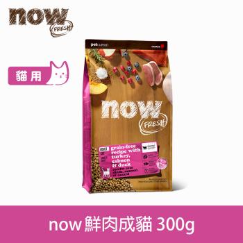Now! 鮮肉無穀天然糧成貓配方 300克(100克3包替代出貨)