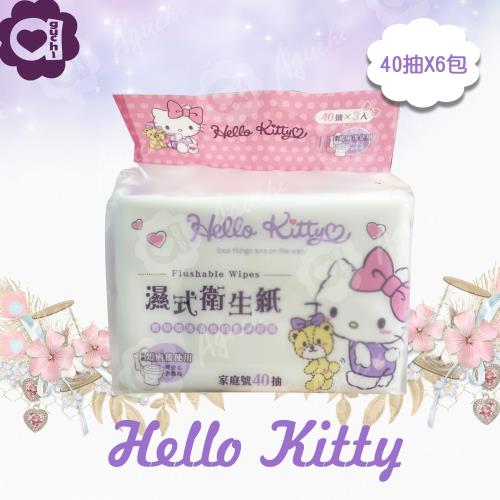 Hello Kitty 凱蒂貓 溼式衛生紙 40 抽 X 6 包 家庭號組合包 可安心丟馬桶 弱酸性配方適合特殊護理