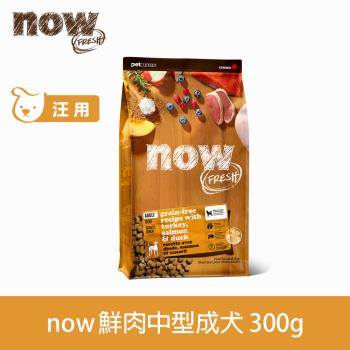 Now! 鮮肉無穀天然糧 成犬配方 300克(100克3包替代出貨)